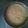 maki1111's cooksnap of when they made 失敗しにくい！スポンジ.
