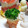 凸凹道's cooksnap of when they made かわいい森の切り株ちくわ♪.