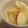 ｍａｒしゃん's cooksnap of when they made ゆずりんご.