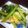 nessy♪'s cooksnap of when they made かぶの葉と油あげのお惣菜.