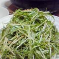 トミトミトミー's cooksnap of when they made 水菜だけ～ 混ぜるだけ～♪.