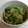 しょうこ1818's cooksnap of when they made ゴーヤときゅうりのさっぱり梅あえ.