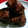 羽尼うに's cooksnap of when they made お口のなかでほろっと　豚角煮.