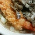 羽尼うに's cooksnap of when they made 舞茸でｺｸうま♥蕎麦♪.