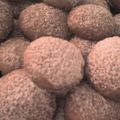 Revontulet's cooksnap of when they made スノーボールクッキー.