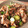 ecoひめ's cooksnap of when they made 豚肉ときゅうりの梅肉炒め.