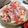 ふにこふ's cooksnap of when they made 浜の母さん直伝！失敗なし！【鮭飯寿し】.