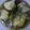 びす子っち's cooksnap of when they made お餅の揚げだし.