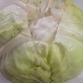 はっぴーはりぼ's cooksnap of when they made キャベツ1玉を長持ちさせる方法.