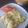 mizukitty's cooksnap of when they made 変身!?ポテサライタリアントースト.