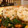 tomo888's cooksnap of when they made れんこんのはさみ揚げ.