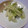きらり流れ星's cooksnap of when they made 超簡単:白菜のあっさり漬け.