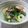 えみんちゅ＊'s cooksnap of when they made 小松菜とろり.