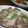 noamanma's cooksnap of when they made 豚肉とキャベツの重ね蒸し.