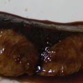 tomomitter's cooksnap of when they made ぶりの照り焼き.