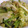 影丸（かげまる）'s cooksnap of when they made 青菜とキャベツのショウガ炒め.