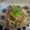 さんぱうろ's cooksnap of when they made もやしの中華和えサラダ♡.