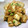 ３びきの子ぶたのまま's cooksnap of when they made 厚揚げのピリ甘辛炒め.