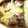 saki1010's cooksnap of when they made ウインナーときゃべつのマヨチーズ炒め.