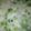 ★ぁねえ★'s cooksnap of when they made 七草粥♪.