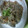 ぴいかん's cooksnap of when they made 安いお肉で☆中華風牛しぐれ.