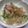 きらり流れ星's cooksnap of when they made 白菜の浸し.