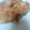 asaクック's cooksnap of when they made 桜エビと山芋のお焼き.