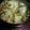 ゆうゆう３４'s cooksnap of when they made かぶの煮物とりあんかけ.