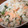 ごりごりら's cooksnap of when they made ♦♫♦簡単さわやか風味の鮭ごはん♦♫♦.