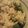 MofeMofee's cooksnap of when they made 菜の花と塩鮭の混ぜご飯.