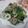 miyuki12's cooksnap of when they made 茹で黒豆と豚バラきのこの炒め物.