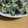 さとみに's cooksnap of when they made ♣春菊とツナのごまマヨ和え♣.