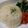猫柳商店's cooksnap of when they made 簡単!チーズ好きのためのチーズライス☆.
