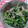 わんこた's cooksnap of when they made 小松菜とツナの和え物.