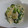たわーポッターの妻's cooksnap of when they made きれい！緑野菜の簡単白和え～♪.