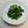 かおﾆｬﾝ子's cooksnap of when they made 大根菜の☆漬物☆あさずけの素を使用♪☆.
