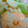 熊人すみこ's cooksnap of when they made ◇エビのネギ塩炒め◇.
