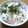 ねっちゃんっ's cooksnap of when they made 大根マヨサラダ.