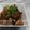ババガレイ's cooksnap of when they made 鶏皮で節約☆パリパリおつまみ.