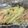 はっぴーはりぼ's cooksnap of when they made 鮭ときのこのあっさりホイル焼き.