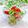 Satoco❋'s cooksnap of when they made 柚子胡椒香る＊新玉ねぎと水菜のサラダ.