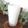 teddynancy's cooksnap of when they made 柚子茶deラッシー.