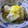 Haru Haru's cooksnap of when they made 牡蠣のみぞれ酢和え.