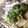 maruru-nn's cooksnap of when they made 鯵のアクアパッツァ.