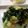 maruru-nn's cooksnap of when they made 春菊の炒め物.
