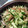 断じて趣味じゃない。's cooksnap of when they made みょうがとキュウリのさっぱりサラダ.