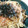 Blue-Island's cooksnap of when they made しめじと＊柚子胡椒＊の和風パスタ.