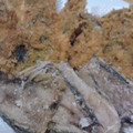 晴れ女＆雫's cooksnap of when they made 捨てるくらいなら揚げて！アジの骨唐揚げ～.