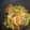 ネスター's cooksnap of when they made ｢えびとｷｬﾍﾞﾂのﾅﾝﾌﾟﾗｰ炒め｣.