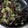 isidoro's cooksnap of when they made オクラときくらげの和え物.
